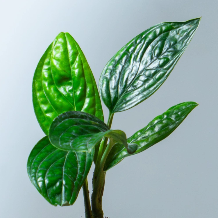 about product
