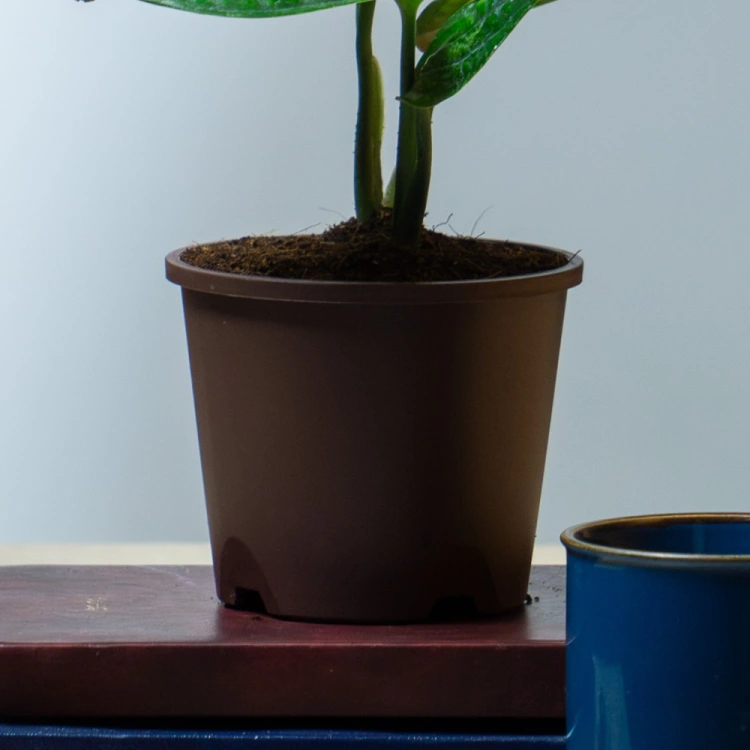 about product
