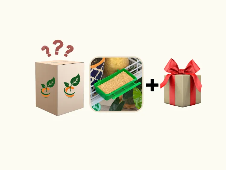 about product