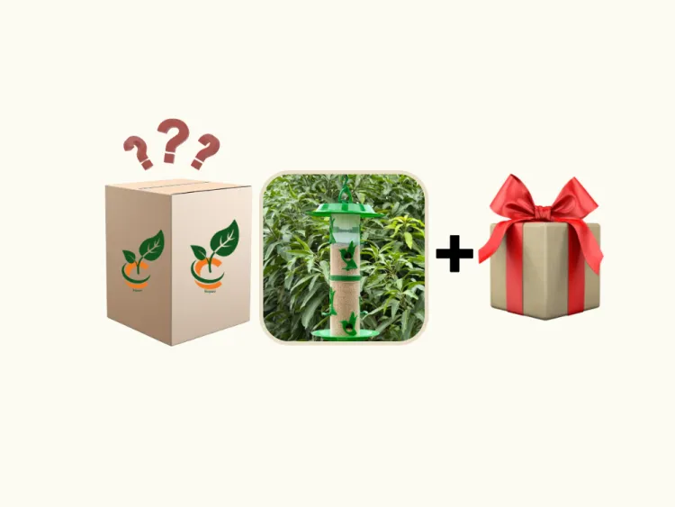 about product
