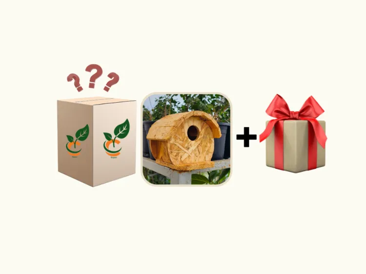about product