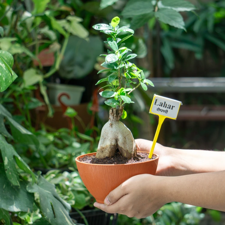 about product