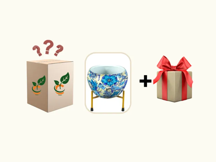 about product