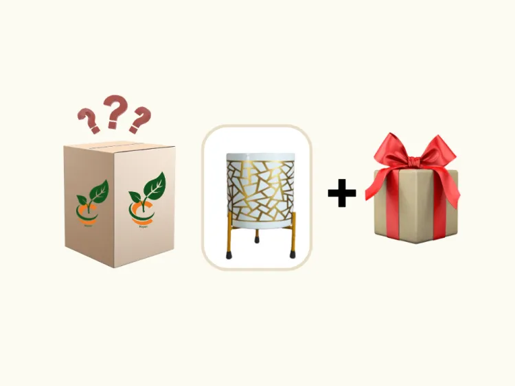 about product