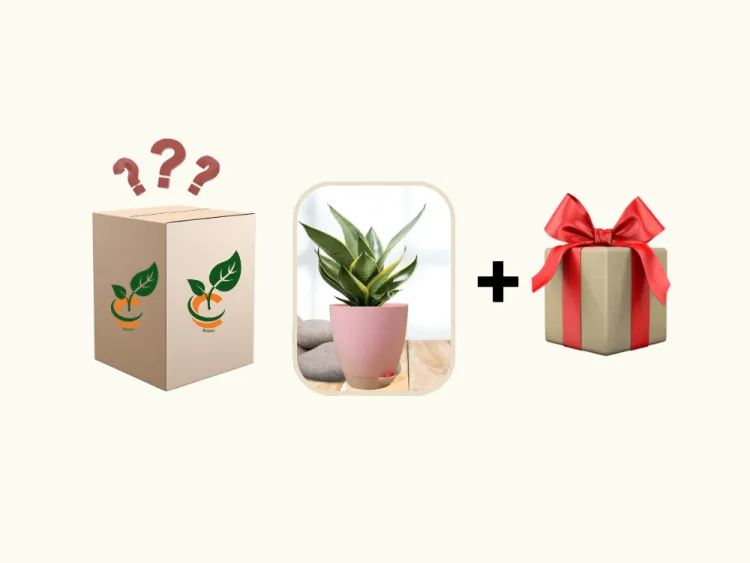 about product