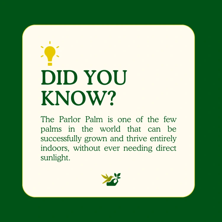 about product