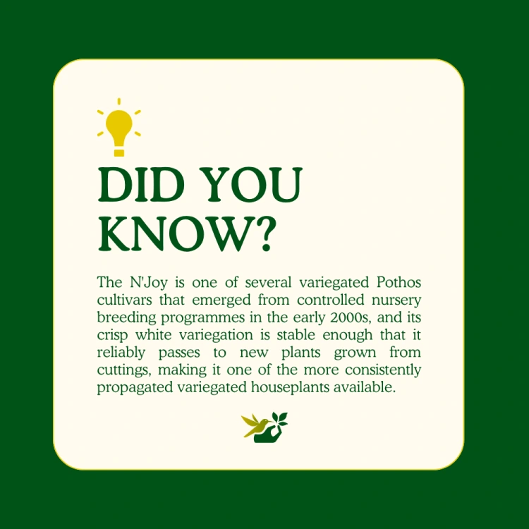 about product