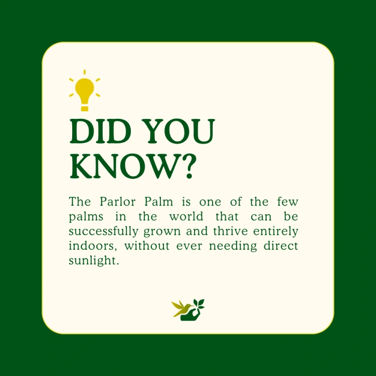 about product