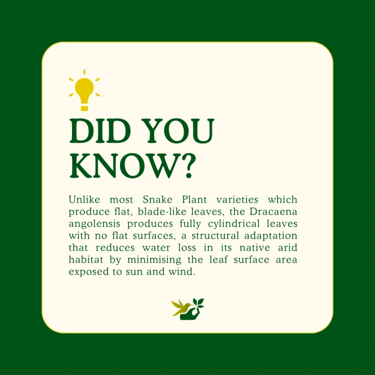 about product