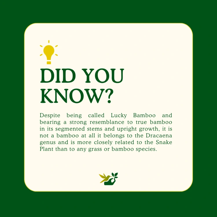 about product