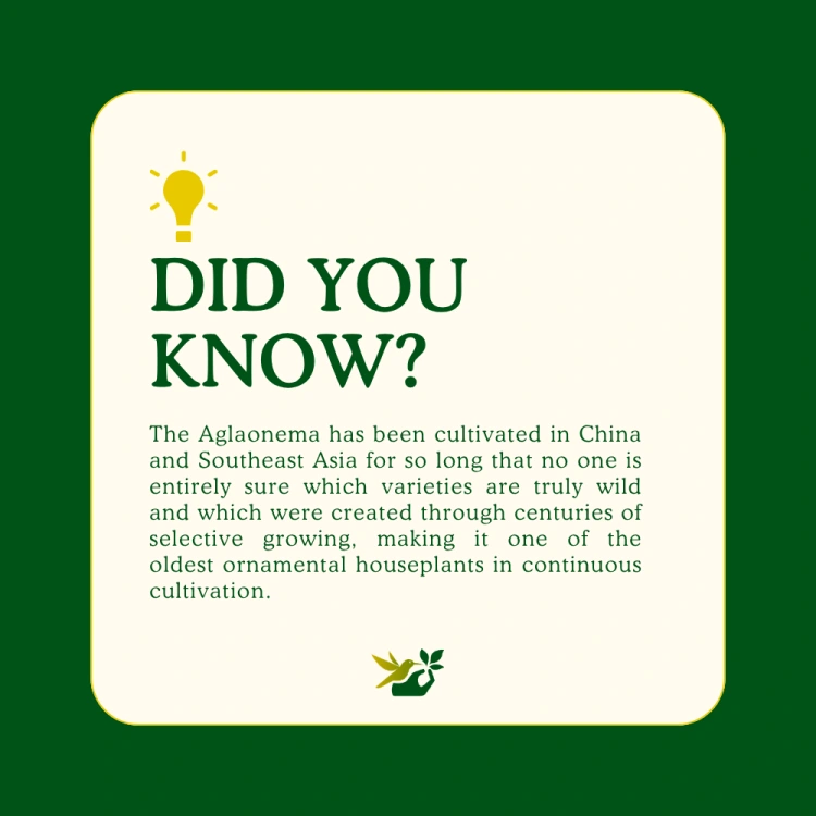 about product