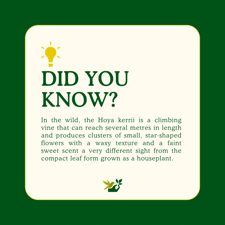 about product