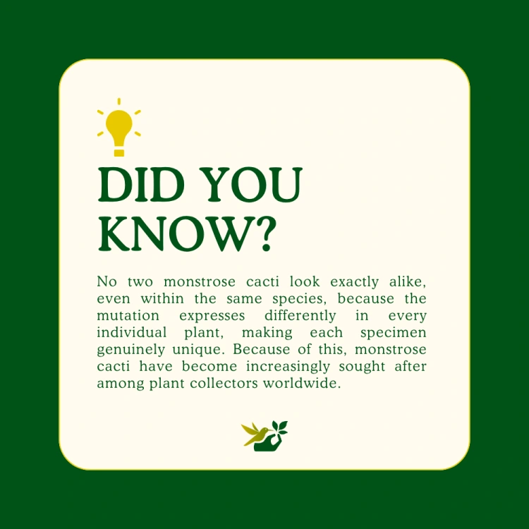 about product