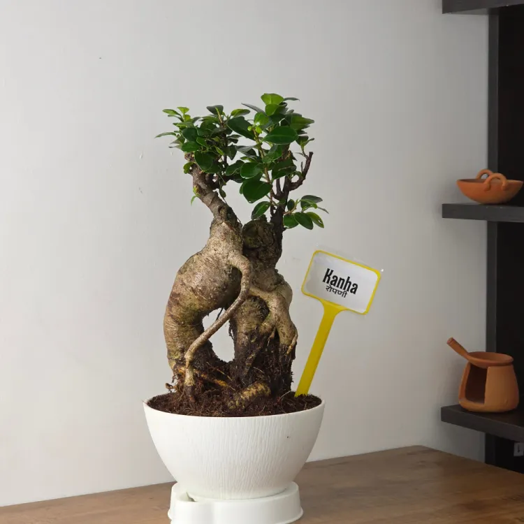 about product