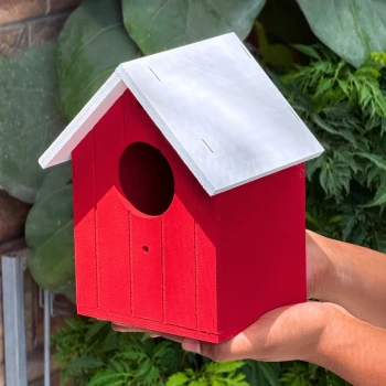 Bird Houses & Nests