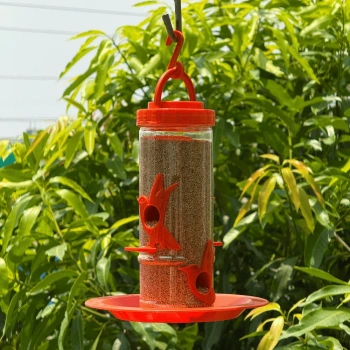 Bird Food Feeders
