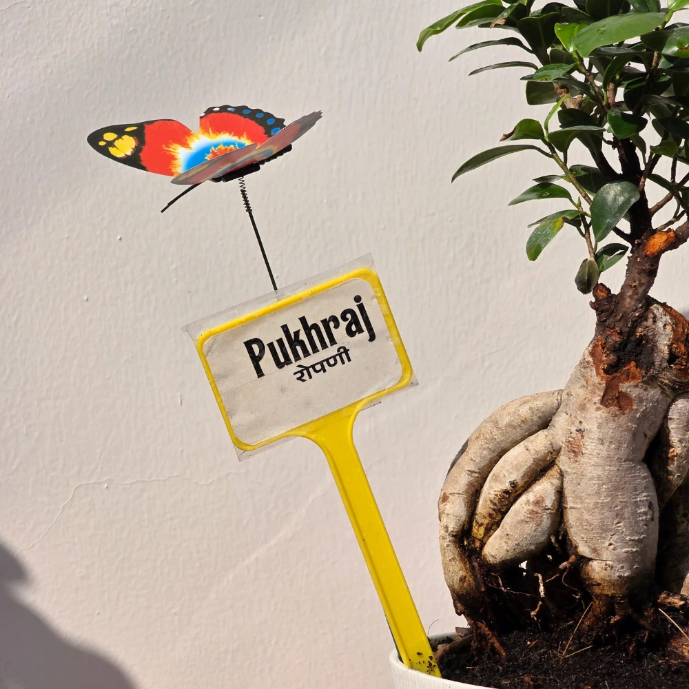 product-gallery