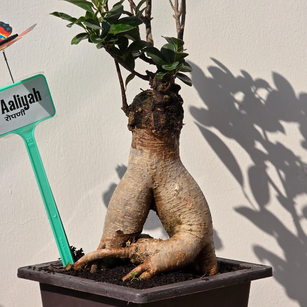 product-gallery