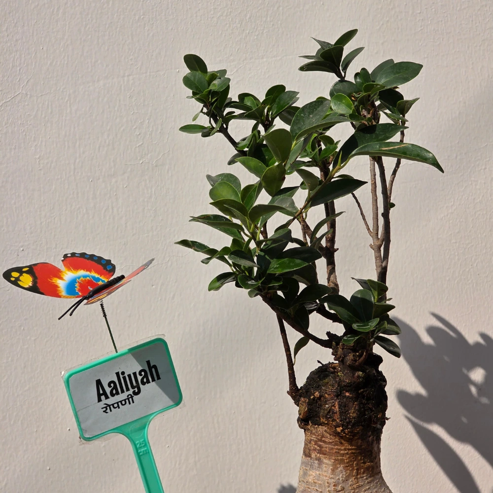product-gallery