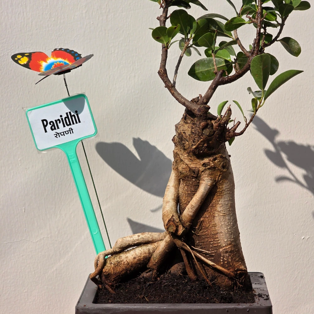 product-gallery