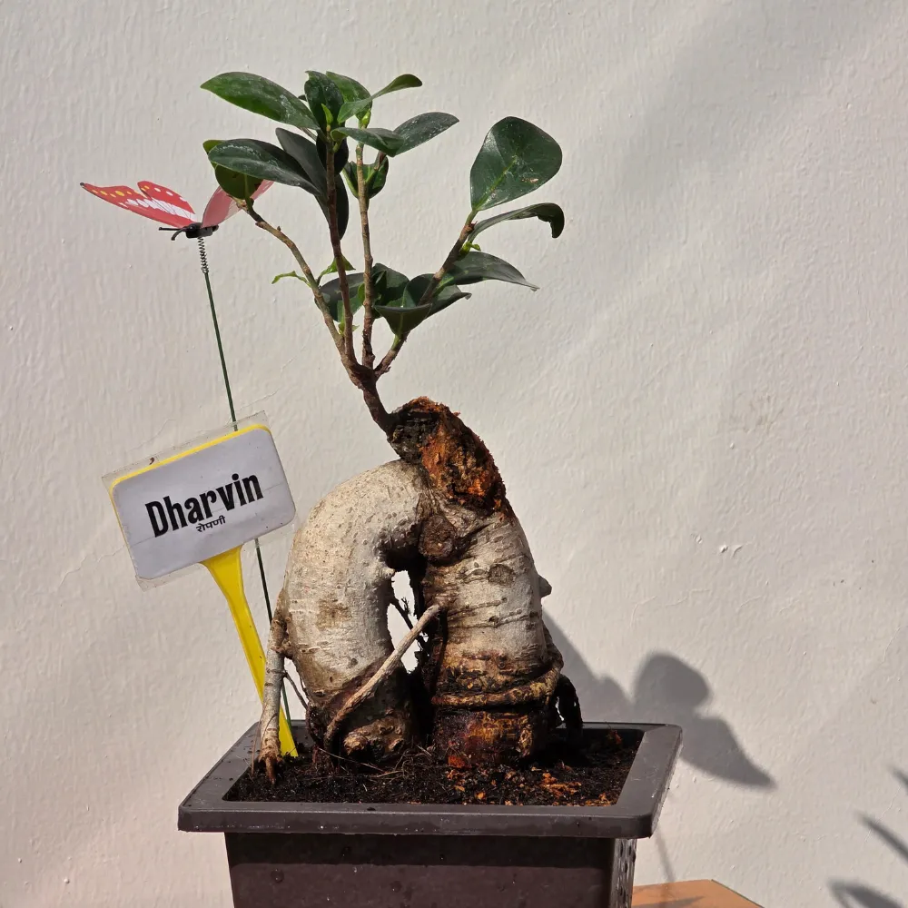 product-gallery
