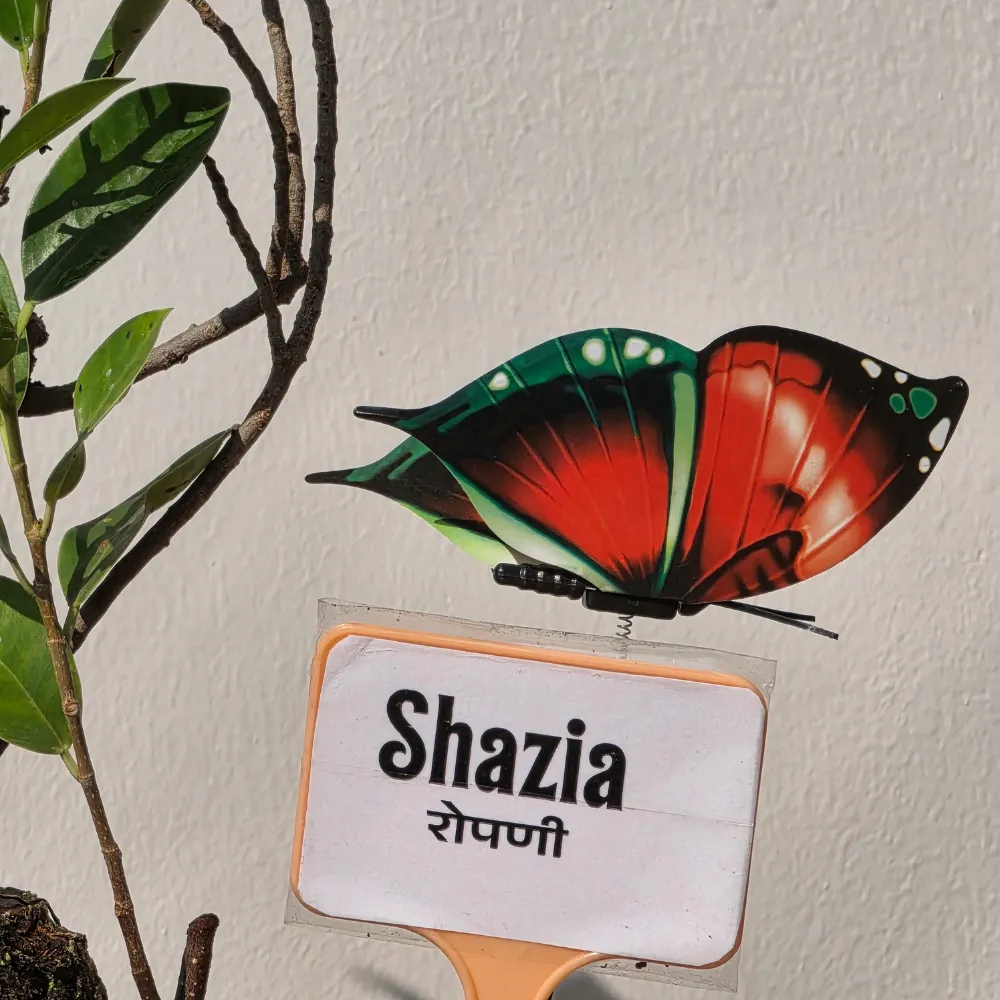 product-gallery