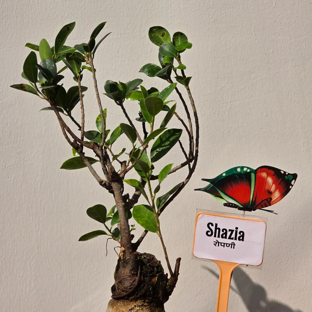 product-gallery