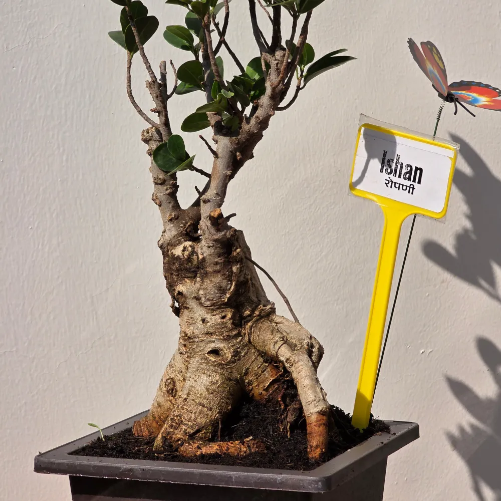product-gallery