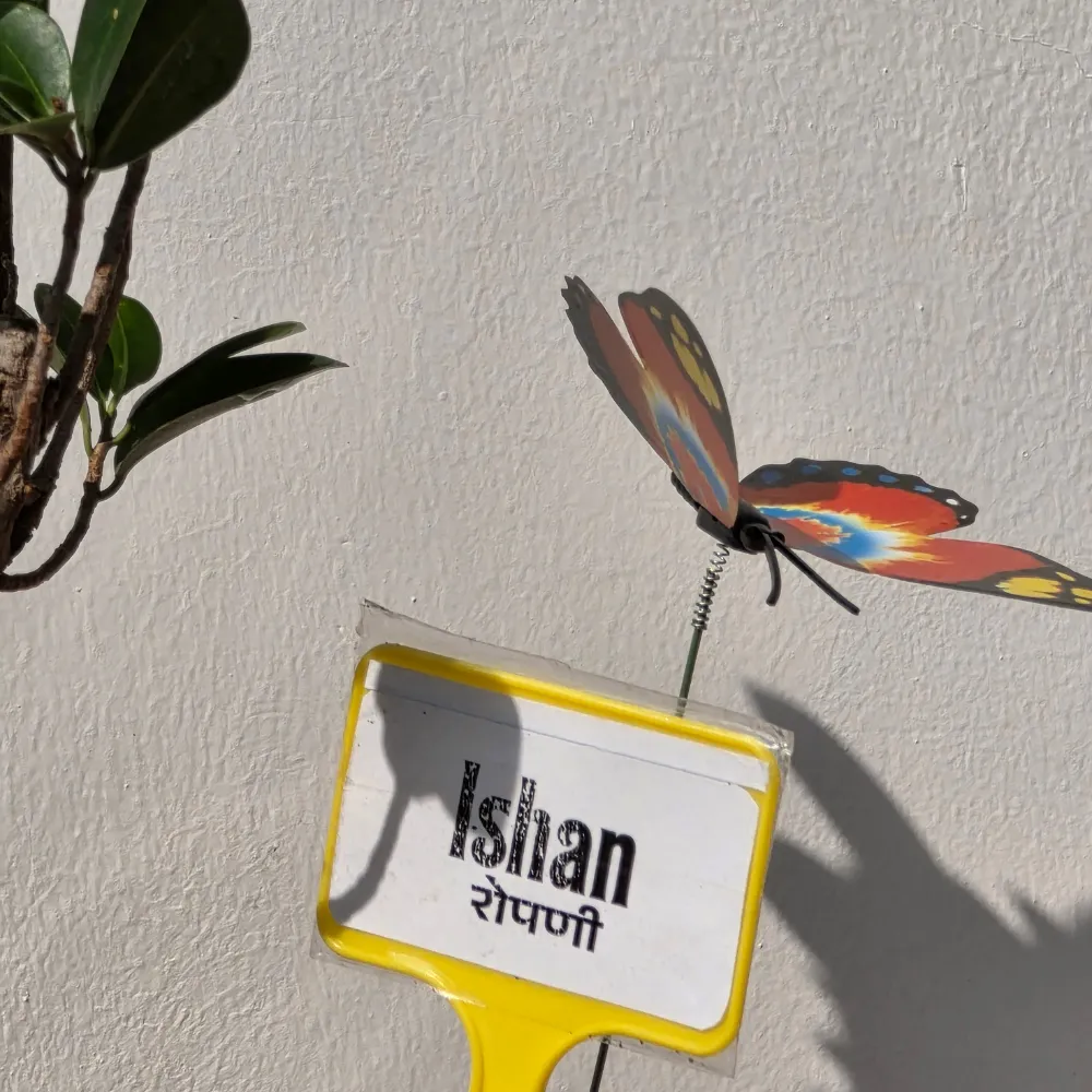 product-gallery