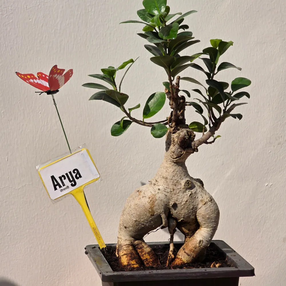 product-gallery