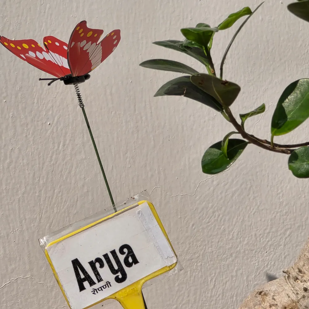 product-gallery