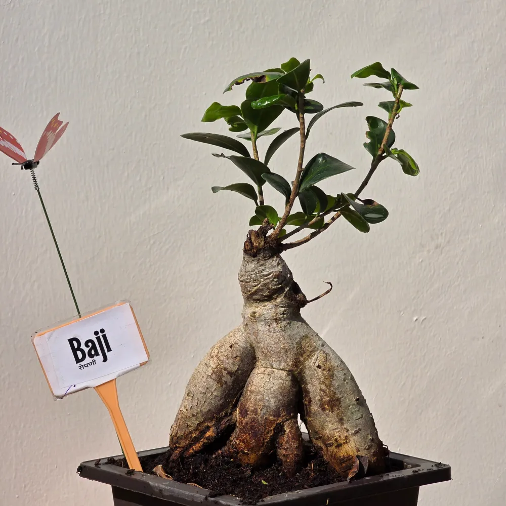 product-gallery