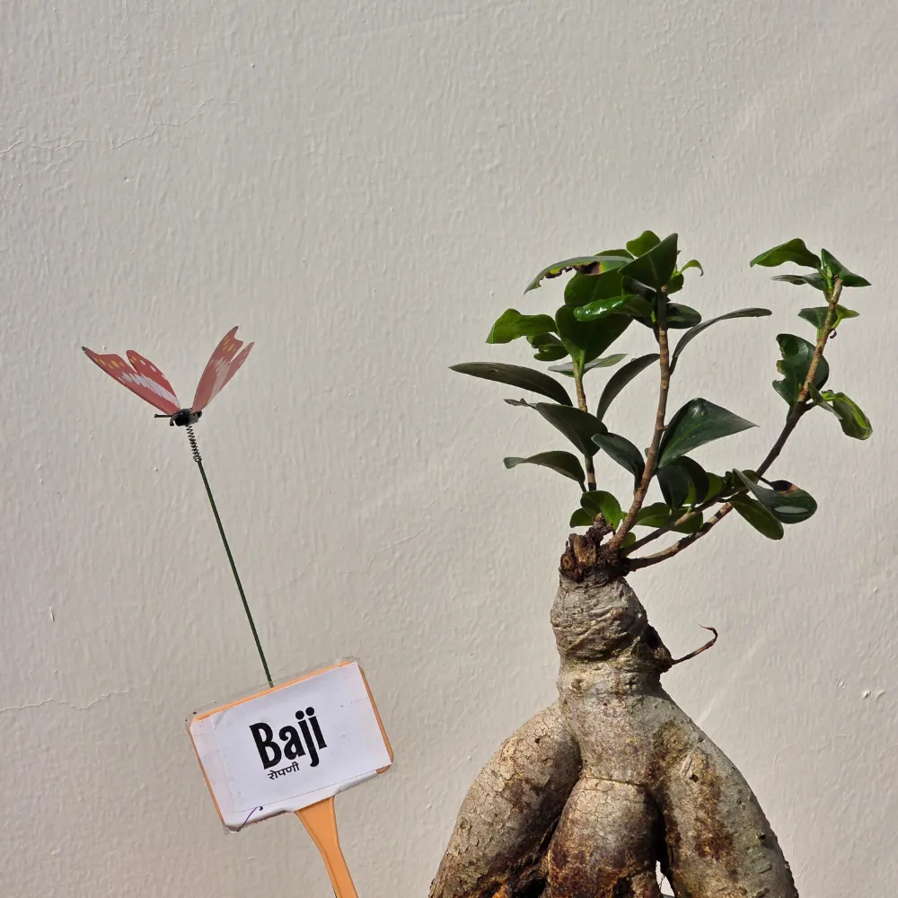 product-gallery
