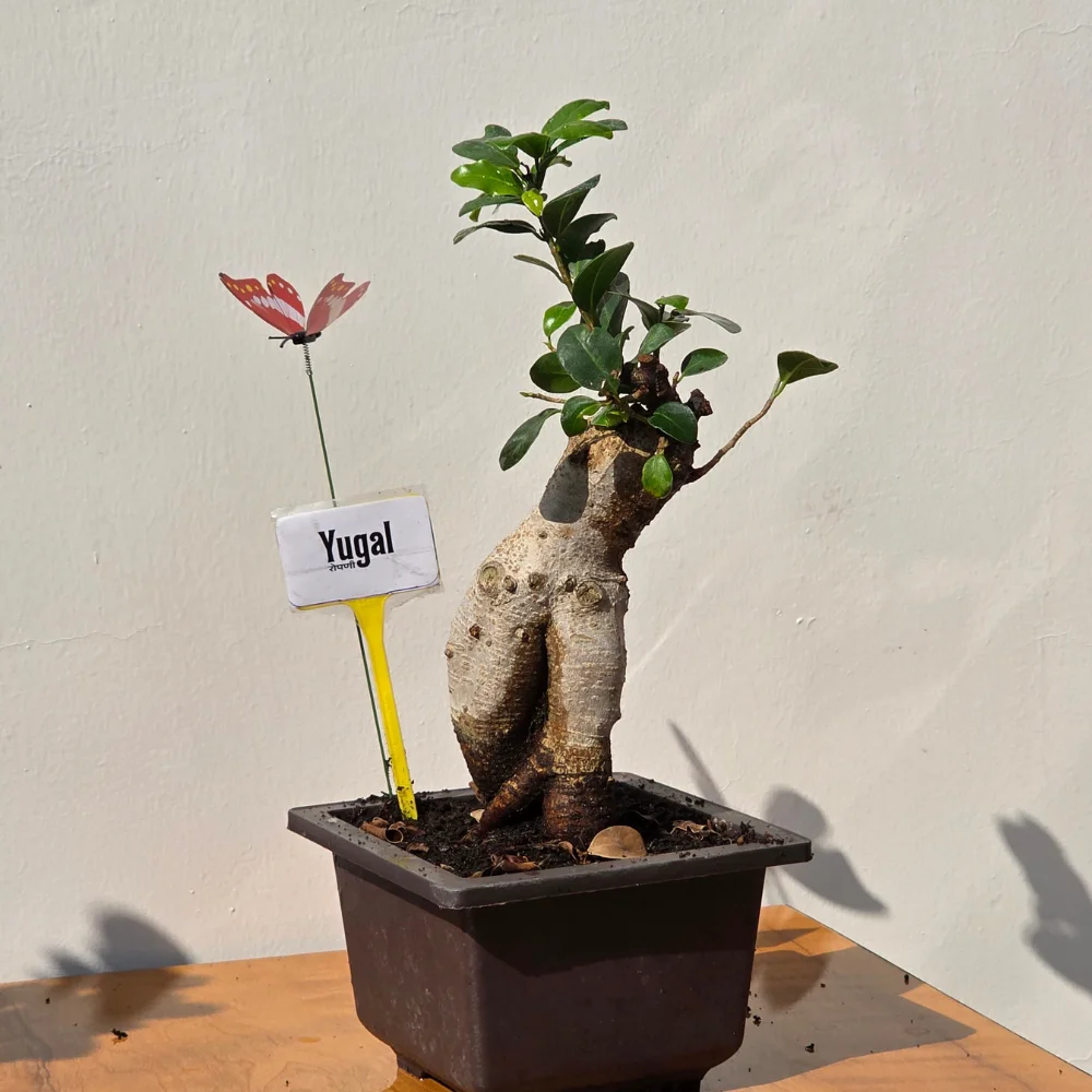 product-gallery