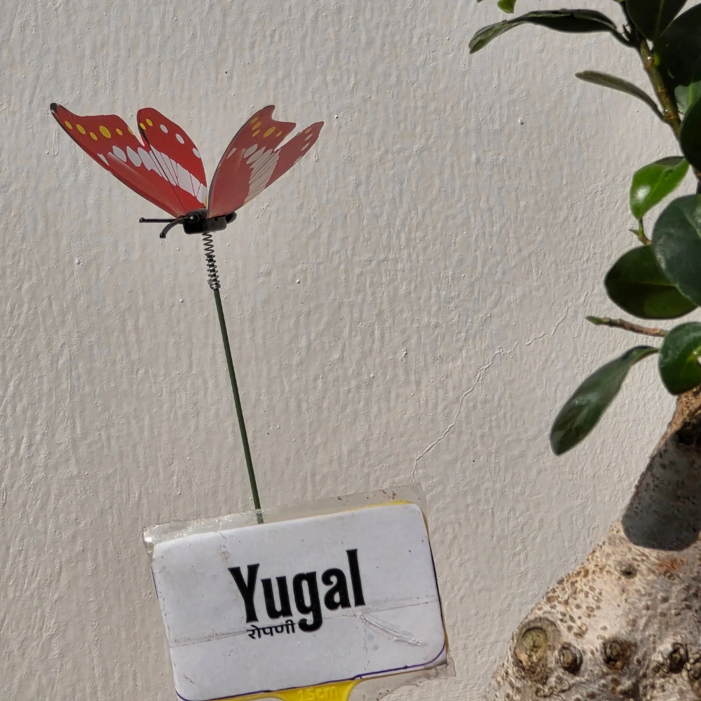 product-gallery