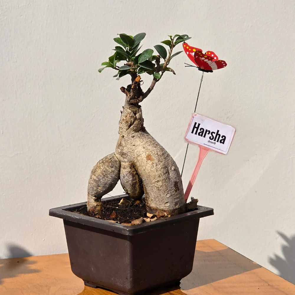 product-gallery