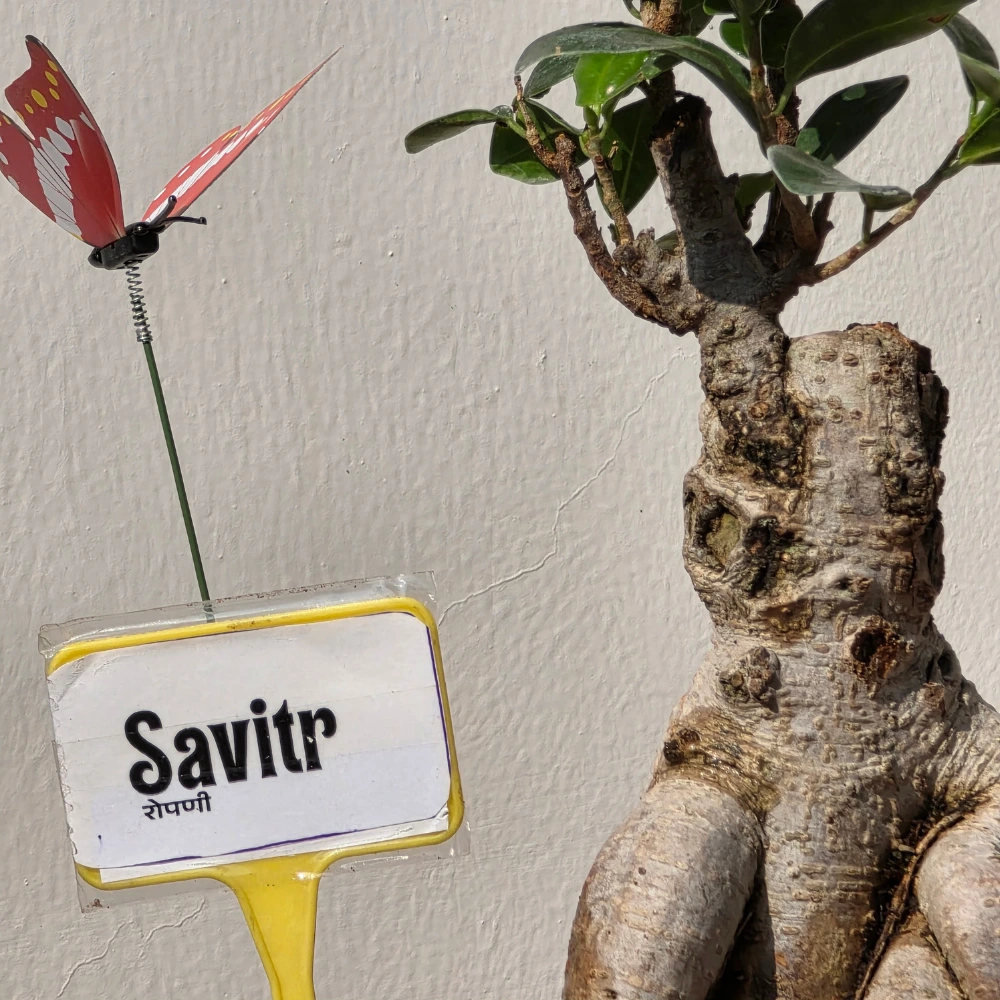 product-gallery