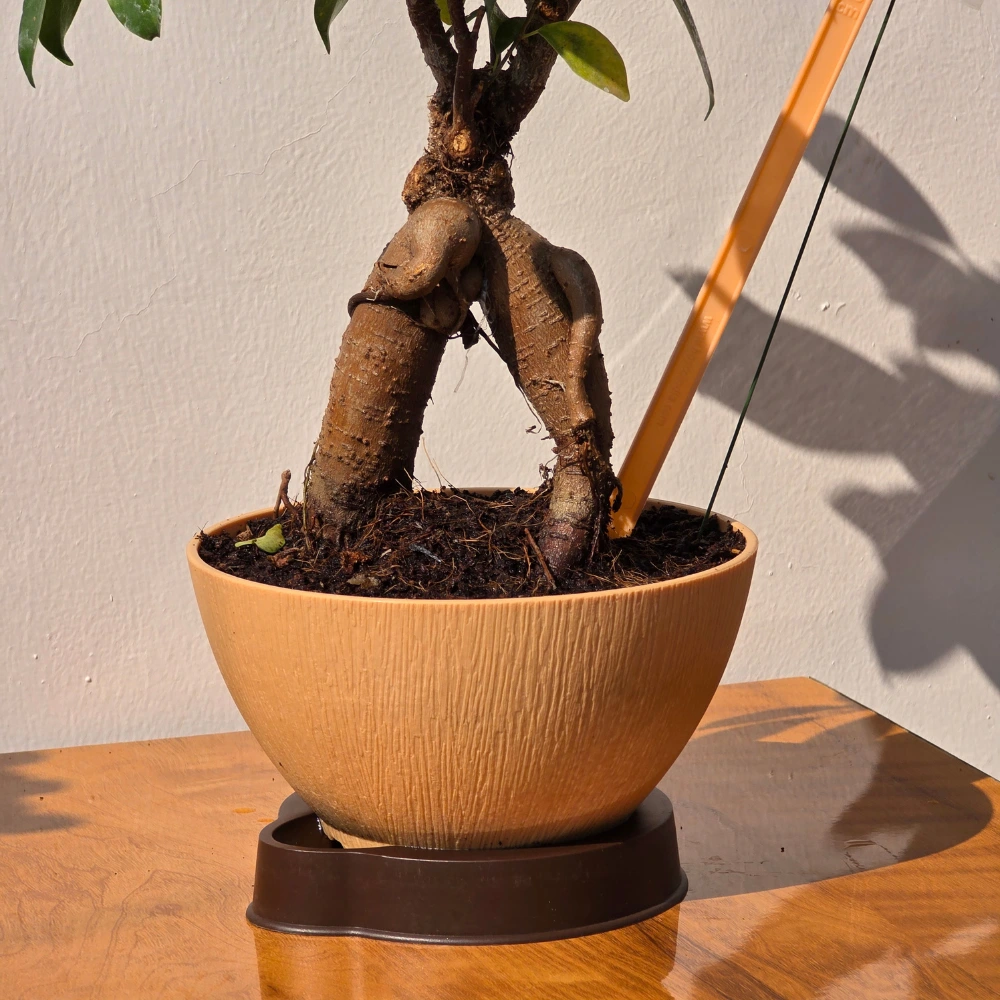 product-gallery
