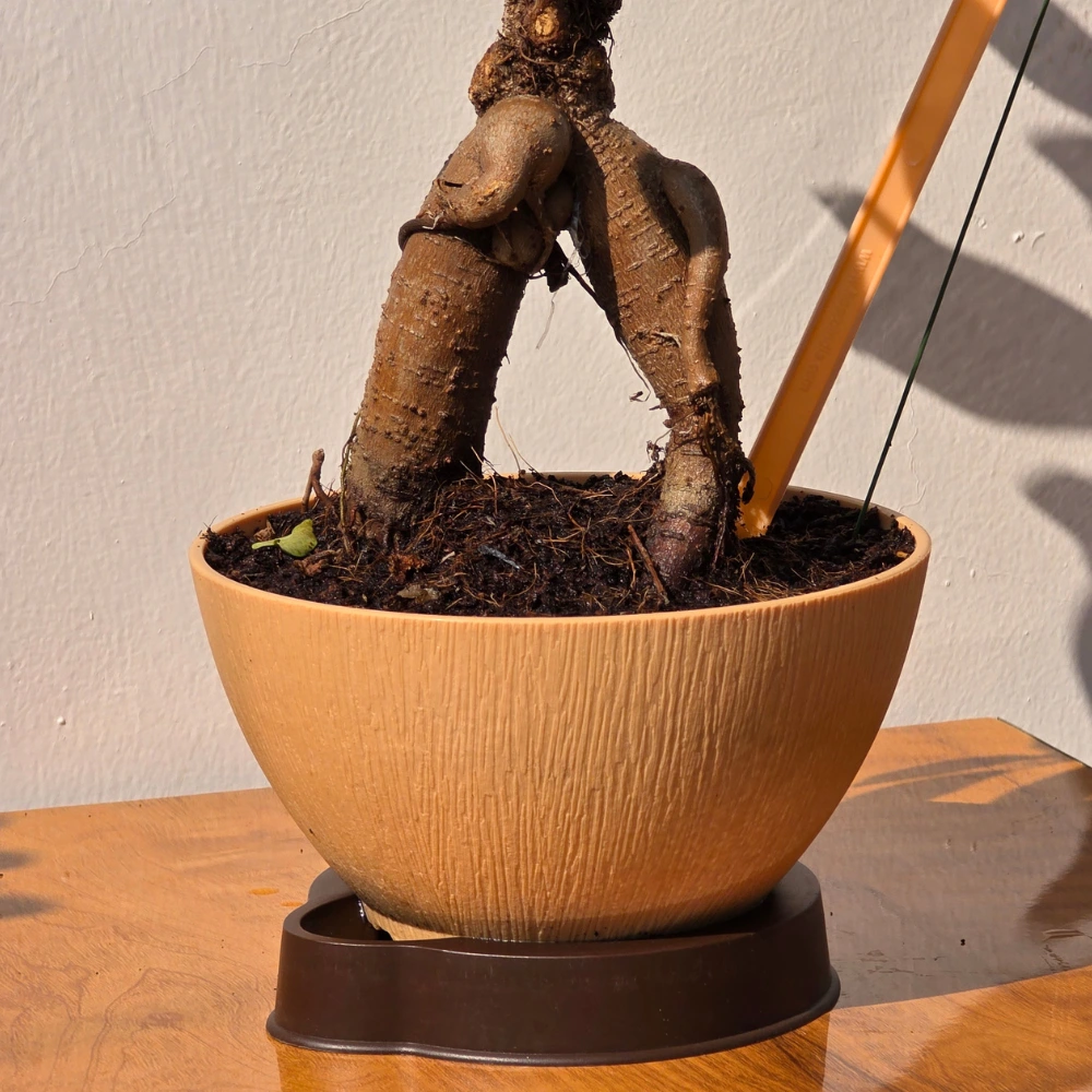 product-gallery