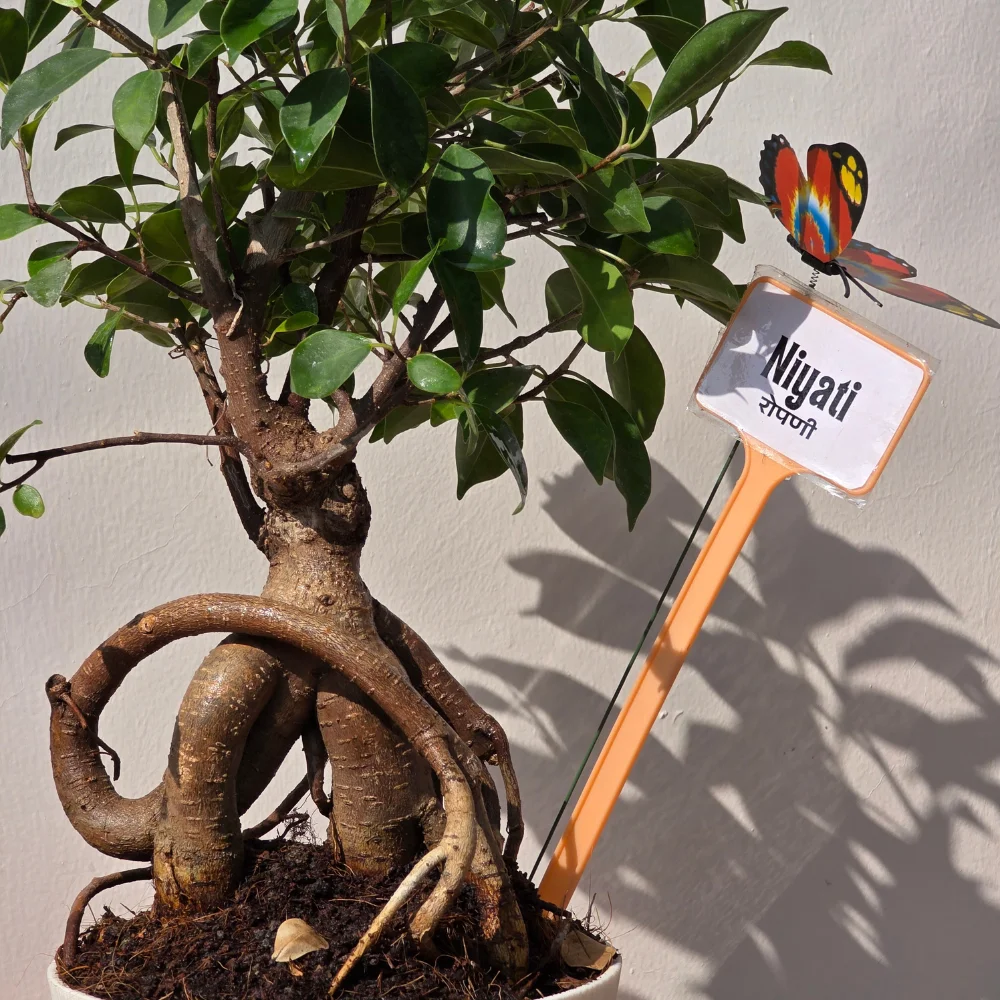 product-gallery