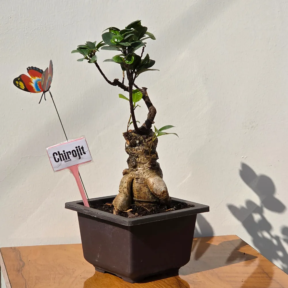 product-gallery