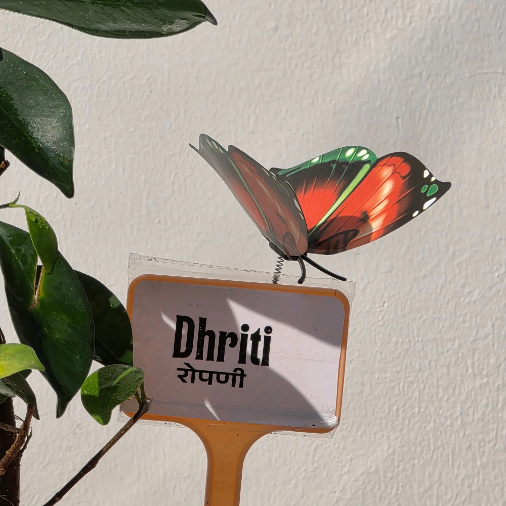 product-gallery