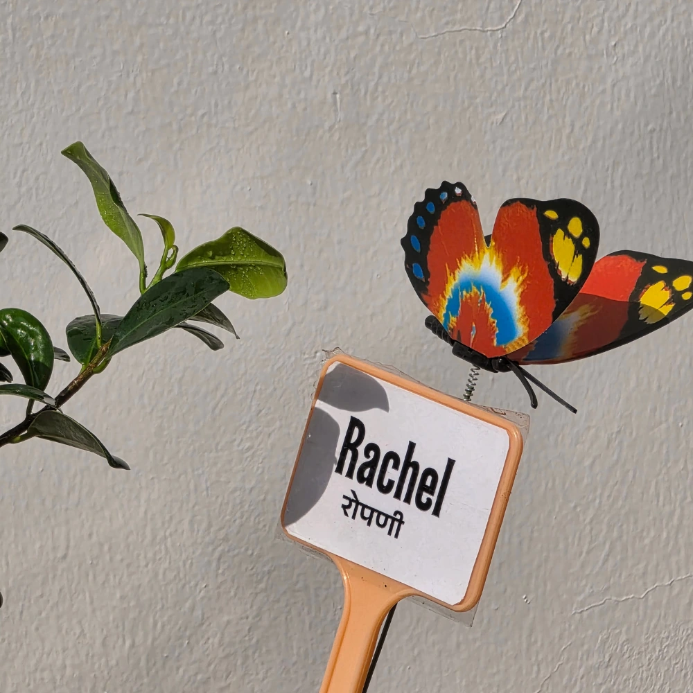 product-gallery
