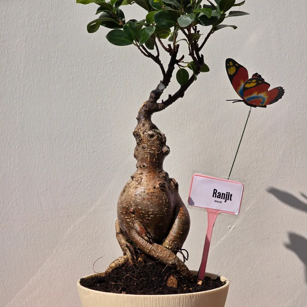 product-gallery