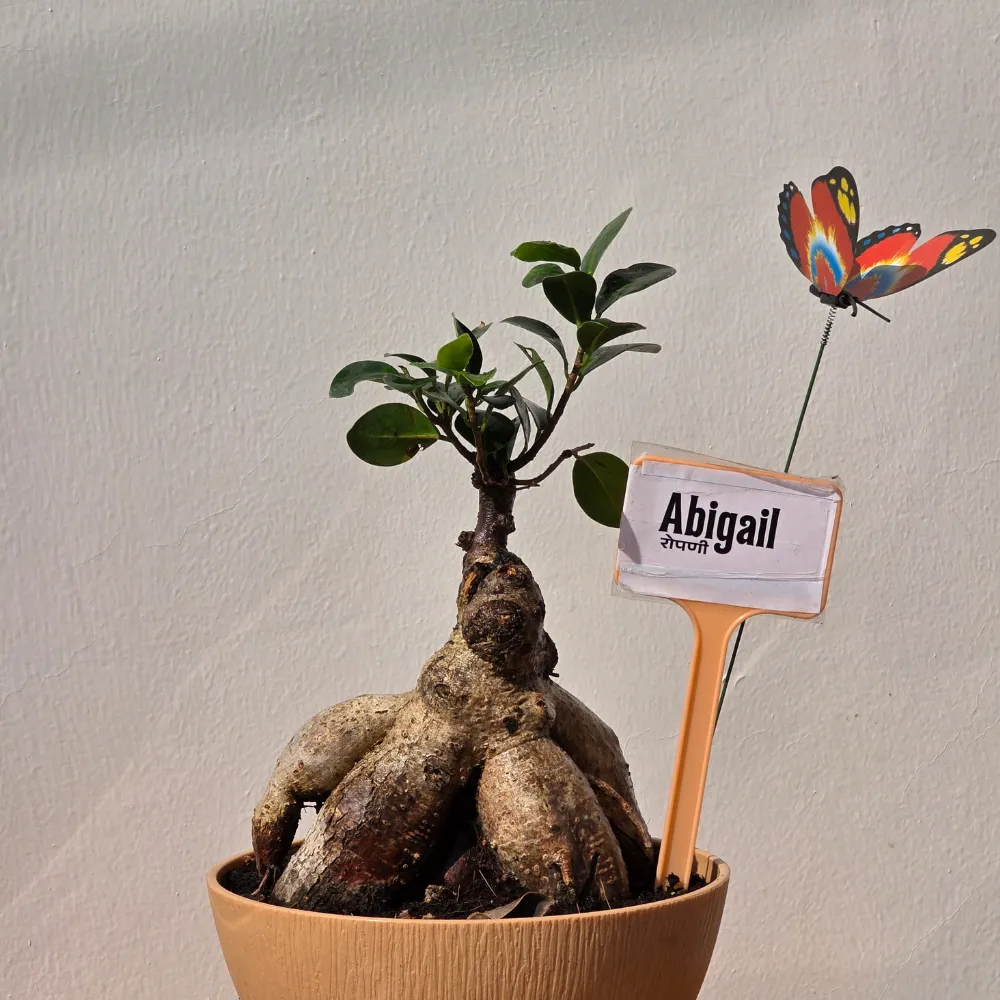 product-gallery