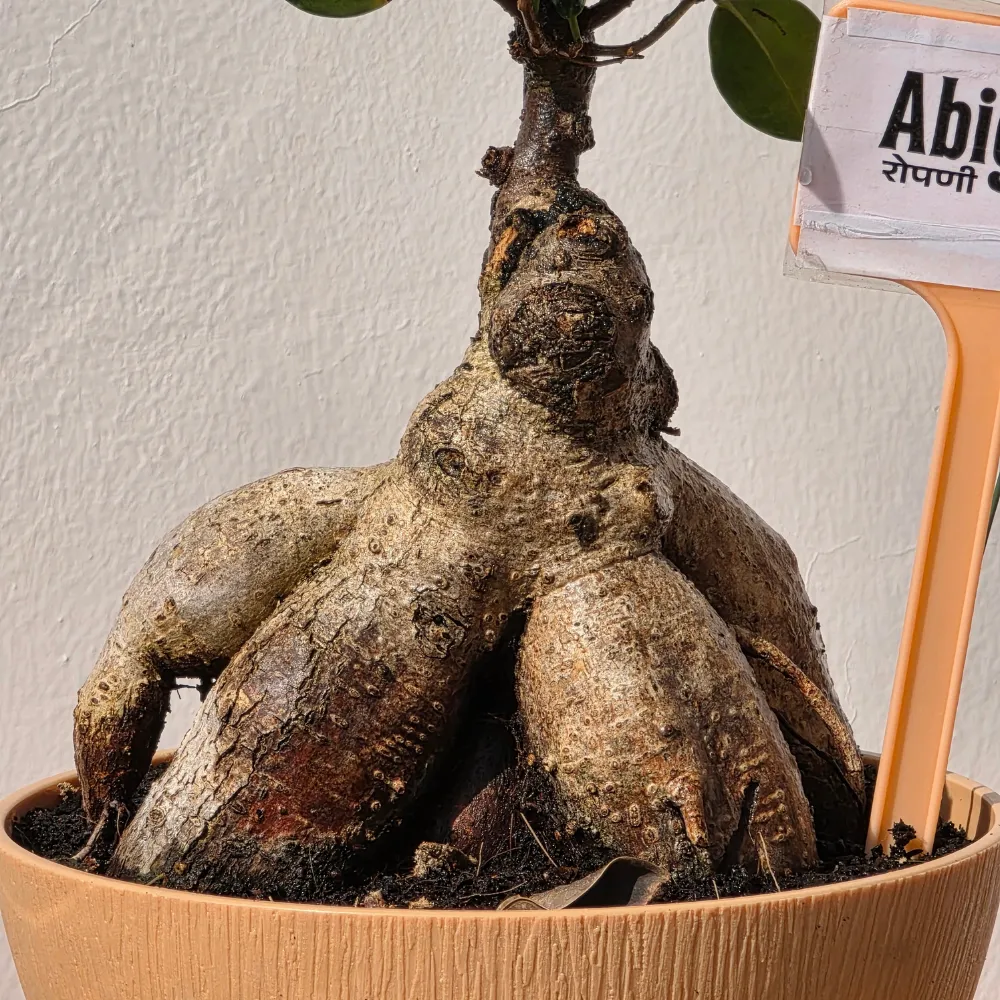 product-gallery