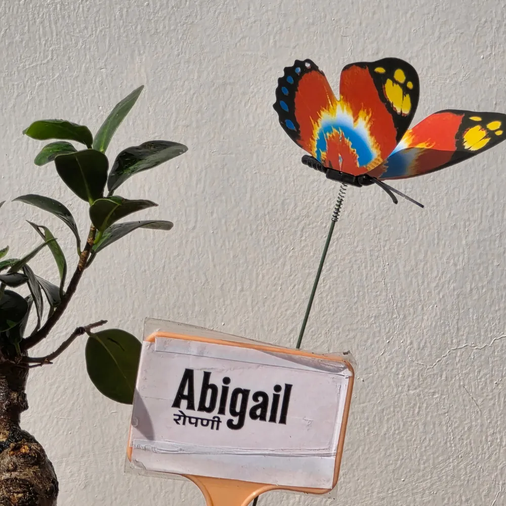 product-gallery