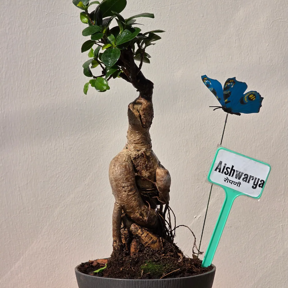 product-gallery