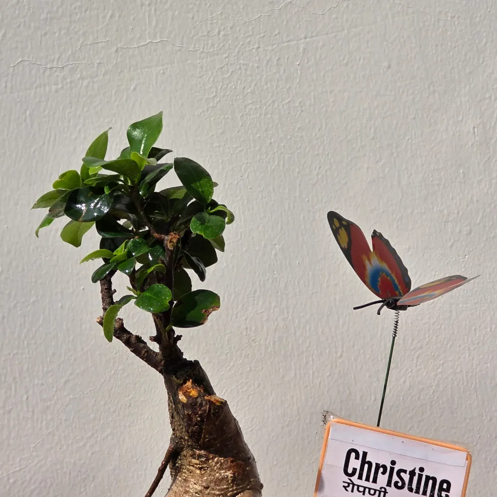 product-gallery