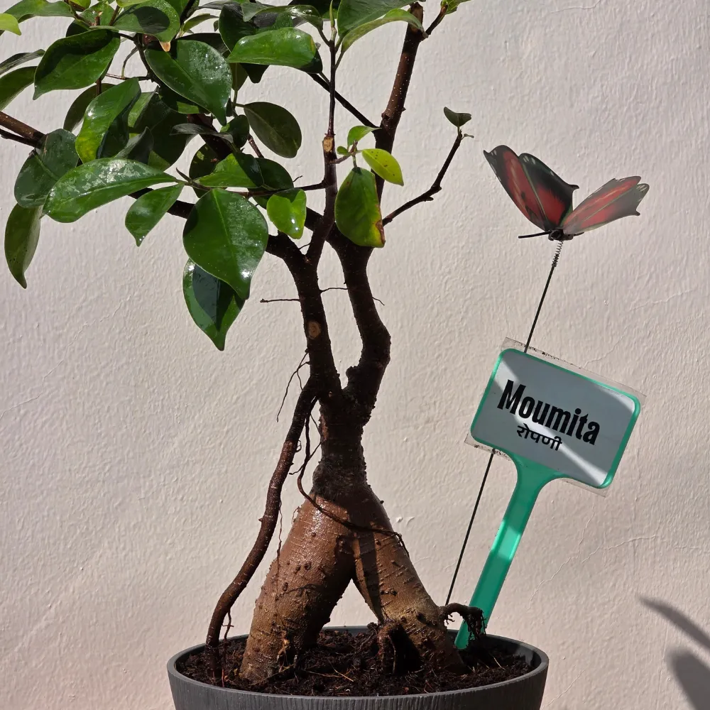product-gallery